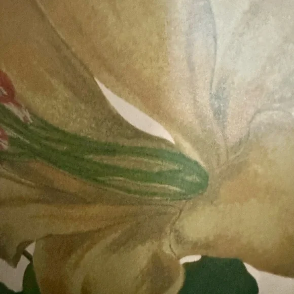 Patricia Nash Moretto Tote With Adjustable Strap and Dust Bag and Care Card - Picture 3 of 13